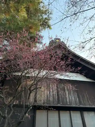 猿田彦神社(東京都)