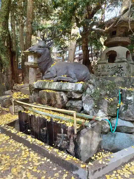 春日大社(奈良県)