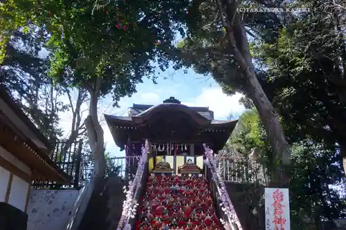 岩槻愛宕神社(埼玉県)