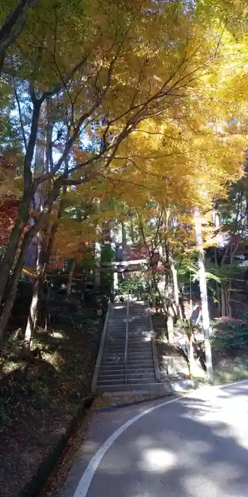 猿丸神社の自然