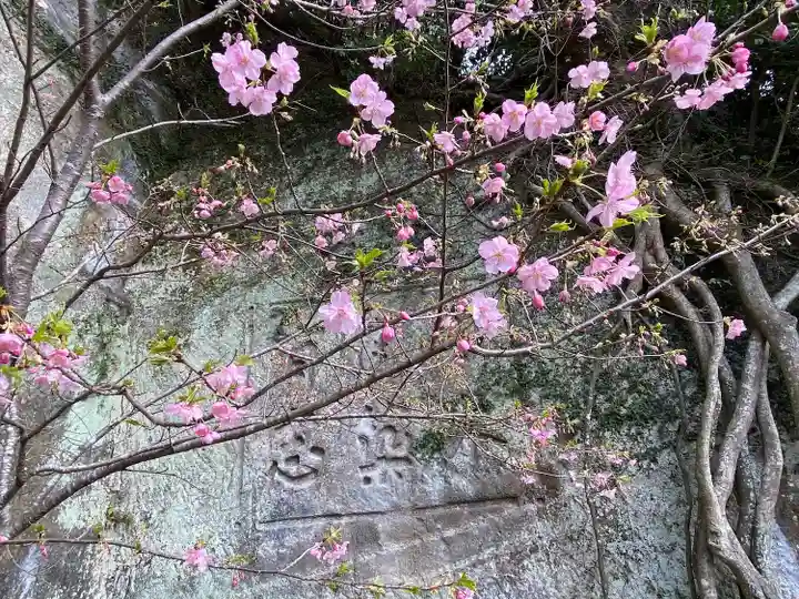 建長寺 半僧坊(神奈川県)