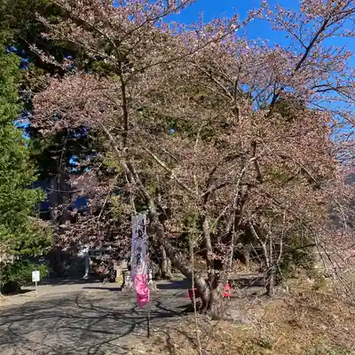 高司神社〜むすびの神の鎮まる社〜(福島県)