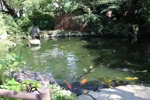 愛宕神社の庭園