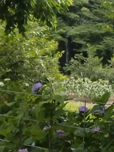 出雲大社信達講社（山舟生出雲大社）(福島県)