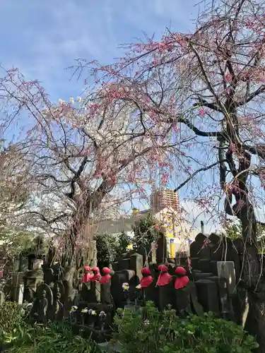 薬師寺　南蔵院 (東京都)