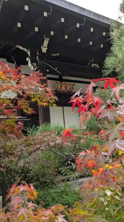 宝蔵寺(京都府)