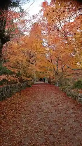 国宝　長寿寺の景色