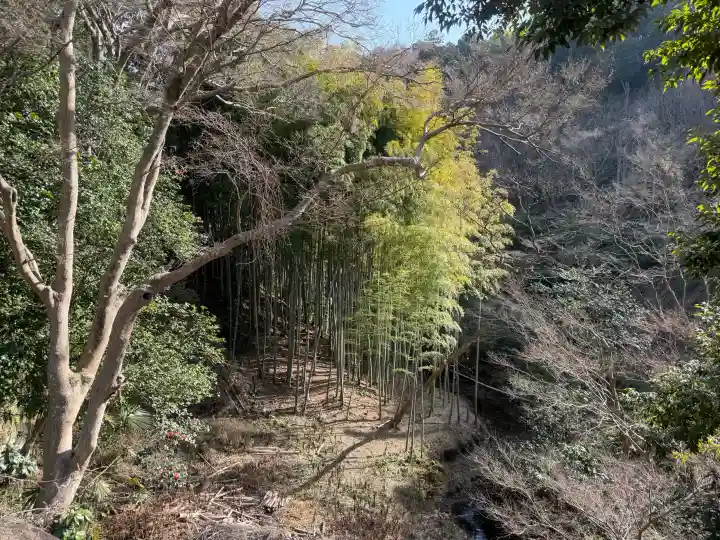 稱名寺(称名寺)の{uncategorized: "未分類", other: "その他", undefined: "問題あり", building: "その他建物", grave: "お墓", sacred_gate: "鳥居", guardian: "狛犬", statue: "像", buddha: "仏像", history: "歴史", nature: "自然", garden: "庭園", animal: "動物", pagoda: "塔", temizu: "手水舎", mountain_gate: "山門・神門", sanctuary: "本殿・本堂", subordinate: "末社・摂社", art: "芸術", scenery: "景色", jizo: "地蔵", ema: "絵馬", goshuin: "御朱印", omikuji: "おみくじ", items: "授与品その他", amulet: "お守り", goshuincho: "御朱印帳", eats: "食事", festival: "お祭り", votive_dance: "神楽", shichigosan: "七五三参", wedding: "結婚式", experience: "体験その他", initially: "初詣", around: "周辺", anti_infection: "感染症対策"}