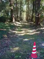 大井神社（太郎神社）の建物その他