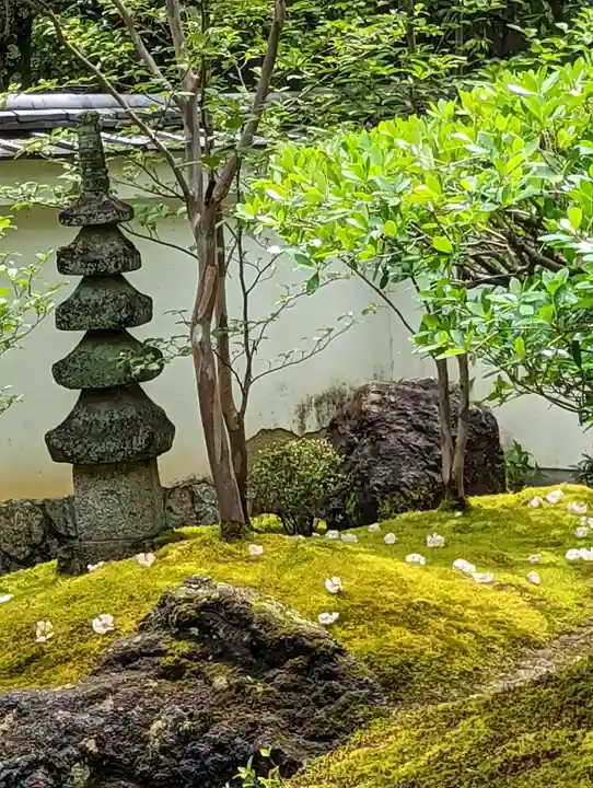 東林院(京都府)