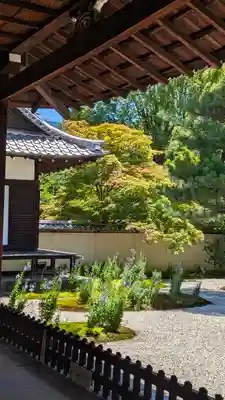 廬山寺(廬山天台講寺)(京都府)