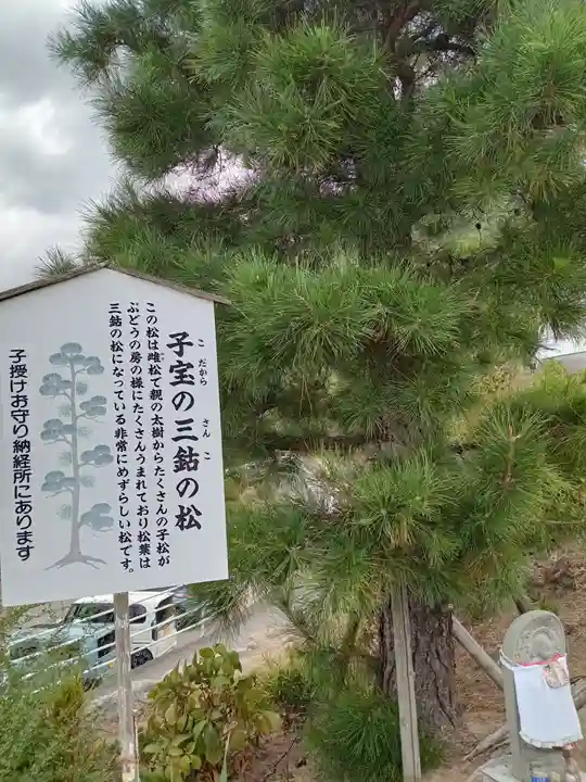 出釋迦寺(香川県)