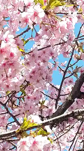 五流尊瀧院の自然