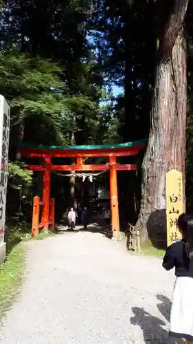 中尊寺の鳥居