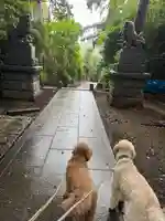 日吉神社(神奈川県)