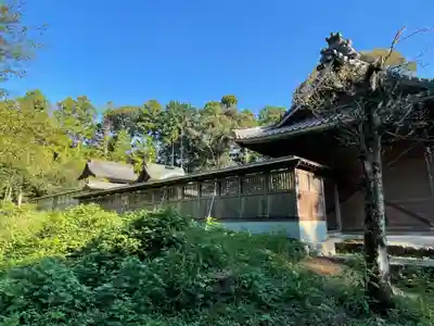 中原神社の本殿・本堂