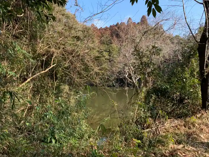 八坂神社の周辺