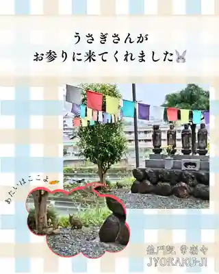 【公式】龍門院常楽寺（秩父札所十一番）(埼玉県)