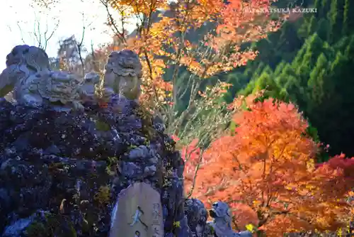 大山阿夫利神社(神奈川県)