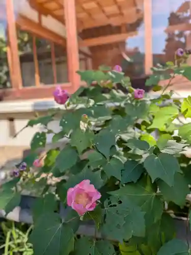 鳩森八幡神社(東京都)