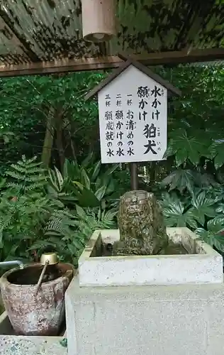 立田阿蘇三宮神社の狛犬