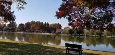 徳島稲荷神社の周辺
