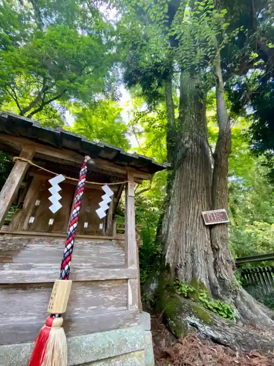 篠山春日神社(兵庫県)