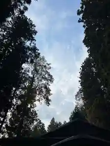 大宮温泉神社(栃木県)(2023年10月29日(日) 08時13分00秒投稿)