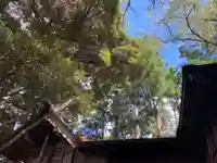 輝窟神社(千葉県)