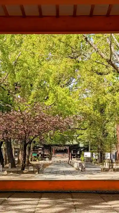 葛飾八幡宮の自然