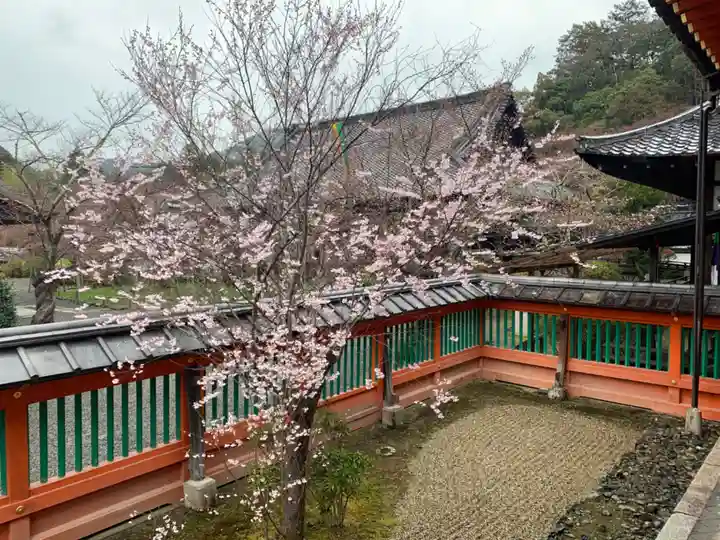 毘沙門堂門跡(京都府)