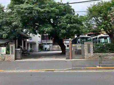 観智院(東京都)