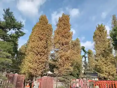 阿部野神社(大阪府)