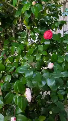 向日神社(京都府)
