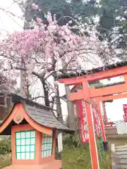 到津八幡神社の建物その他