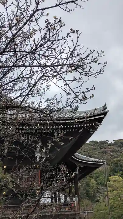 知恩院(京都府)
