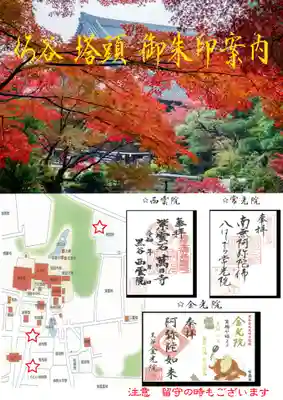 くろ谷 金戒光明寺(京都府)