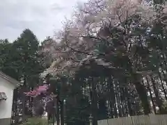 白山神社の自然