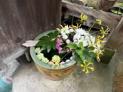 浅野川神社(石川県)