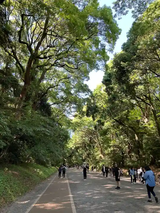 明治神宮(東京都)