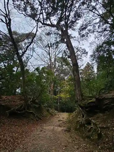 春日大社(奈良県)