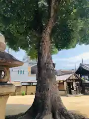 常光寺の自然