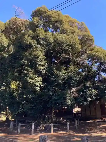月讀神社(茨城県)