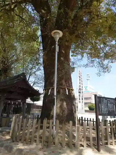 挙母神社の庭園