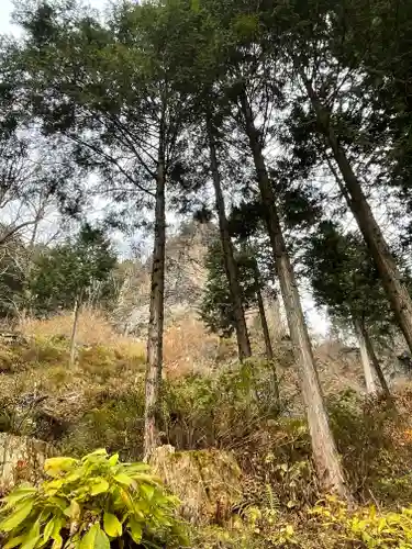 榛名神社の自然