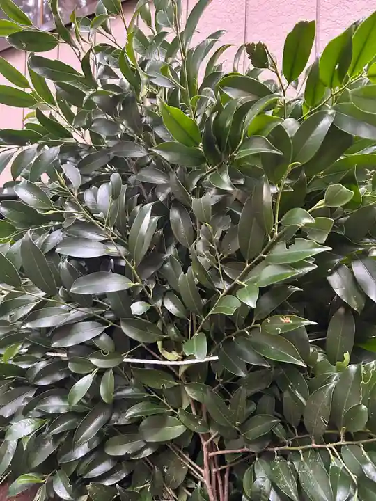 坪沼八幡神社(宮城県)