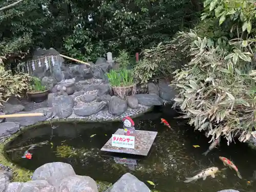 櫻木神社の庭園