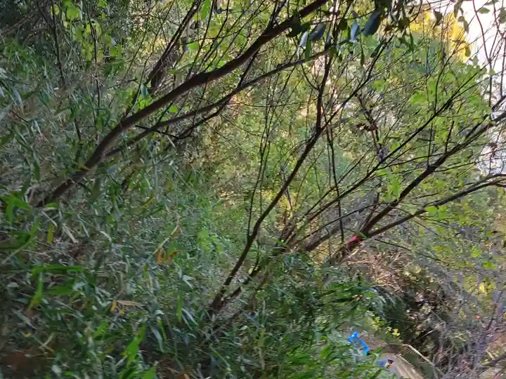 保久良神社(兵庫県)