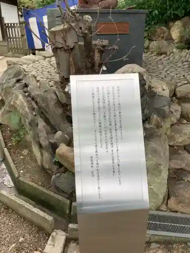 安居神社の歴史