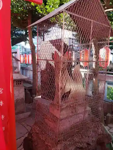 千種稲荷神社のお祭り